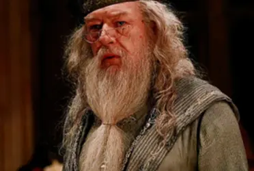 Descubre el secreto que pocos fans notaron de la barba de Michael Gambon en Harry Potter 