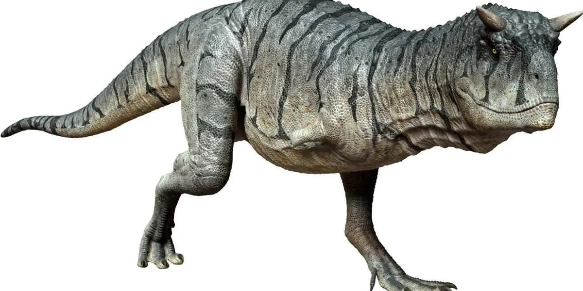 Esto significa que este animal vivió justo antes de la extinción masiva del final del Cretácico que vio la extinción de la mayoría de los dinosaurios.