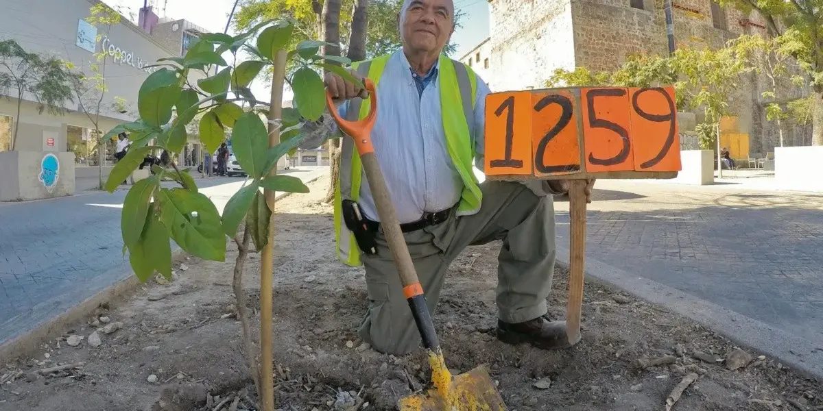A lo largo de los años ha perfeccionado su método de plantación, mantenimiento y combate de plagas para cientos de ejemplares.