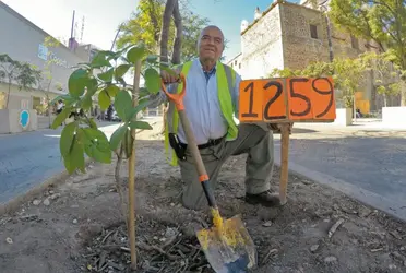 A lo largo de los años ha perfeccionado su método de plantación, mantenimiento y combate de plagas para cientos de ejemplares.