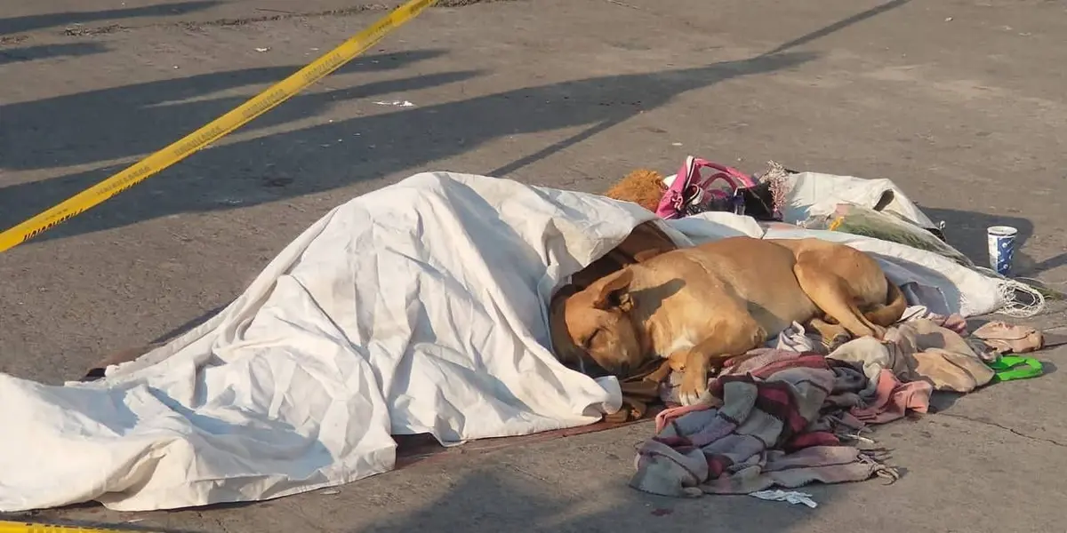 Alrededor de las 08:00 horas, policías acordonaron la explanada de la estación Candelaria del Metro de la Ciudad de México a raíz del hallazgo de un cuerpo sin vida.
