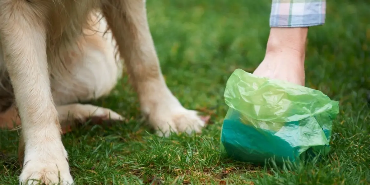 Ante el Pleno, el diputado presentó una iniciativa de reforma al artículo 29 de la Ley de Cultura Cívica de la Ciudad de México.