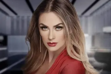 Aracely Arámbula arriesgo su vida en la telenovela que catapultó su carrera