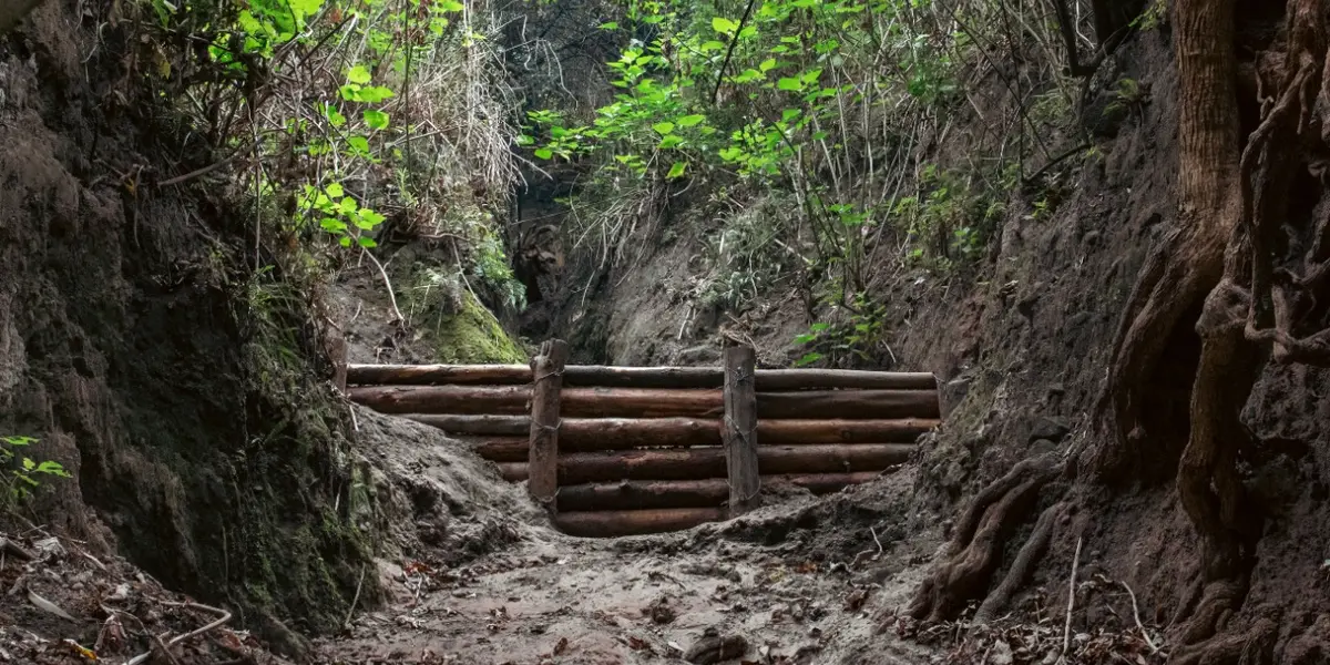Como parte del proyecto Bosque de Chapultepec, Naturaleza y Cultura, el año pasado dio inicio la restauración ambiental en las primeras 40 hectáreas de la Tercera Sección.