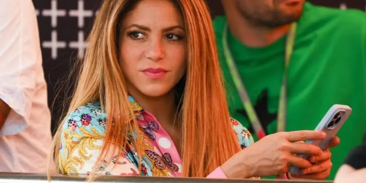 Conoce la desgarradora historia de Shakira en su canción