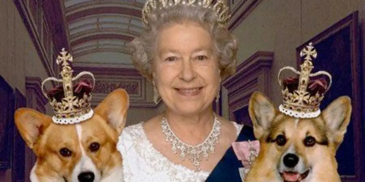 Conoce la sorprendente herencia que les dejó la Reina Isabel II a todos sus perros Corgi