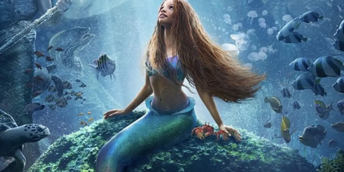 Conoce lo que hay detrás de la cabellera de Halle Bailey en la Sirenita