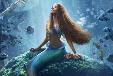Conoce lo que hay detrás de la cabellera de Halle Bailey en la Sirenita