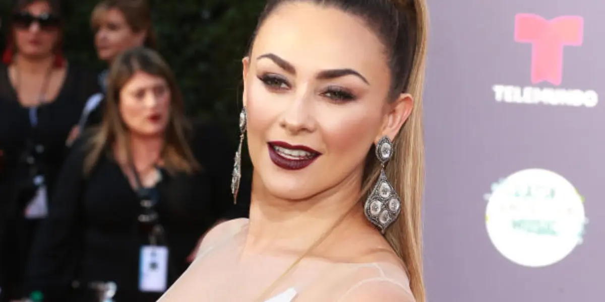 Conoce los cinco mejores personajes que ha interpretado la famosa actriz, Aracely Arámbula.