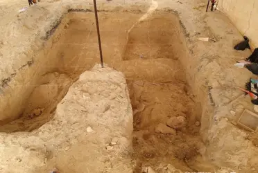 De acuerdo con el Instituto Nacional de Antropología e Historia (INAH) "Se trata posiblemente de un mamut colombino, macho, de edad avanzada.