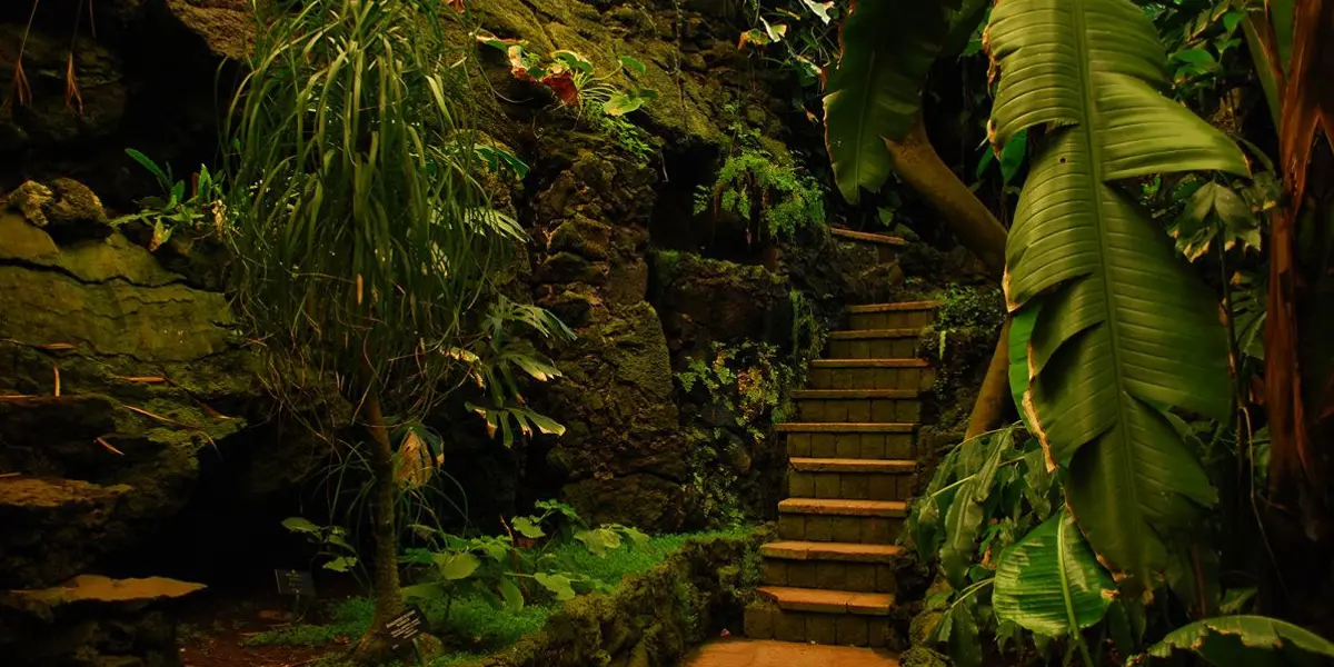 Declarados por la Organización de las Naciones Unidas para la Educación, la Ciencia y la Cultura (UNESCO): Xochimilco, Centro Histórico, Casa Estudio Luis Barragán y Ciudad Universitaria.