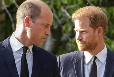 Descubre de donde proviene y de cuanto es la herencia que une al Príncipe William con Harry