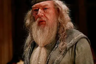 Descubre el secreto que pocos fans notaron de la barba de Michael Gambon en Harry Potter