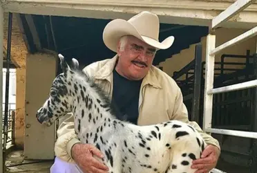 Descubre la peculiar forma en que Vicente Fernández bautizaba a sus caballos
