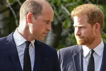 Descubre la persona que podría unir nuevamente al Príncipe William y Harry