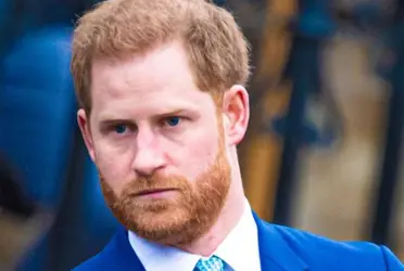 Descubre la verdadera intención que tiene el Príncipe Harry para destruir a su familia