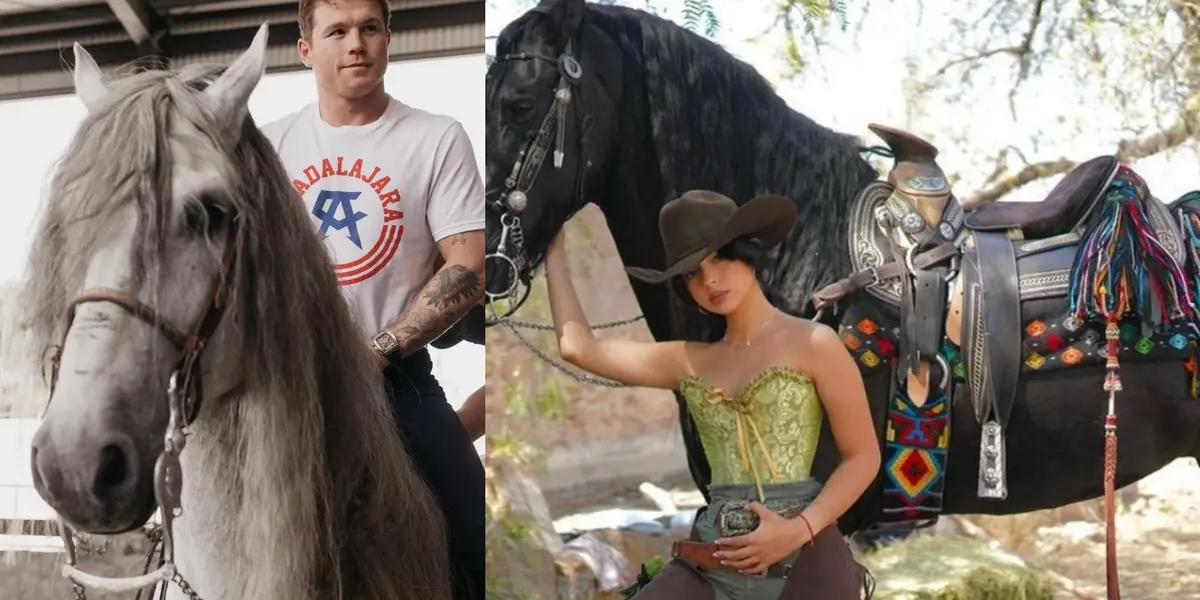 Descubre lo que cuesta cada caballo de Ángela Aguilar