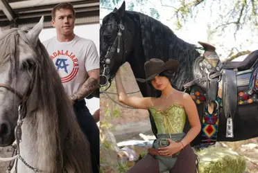 Descubre lo que cuesta cada caballo de Ángela Aguilar