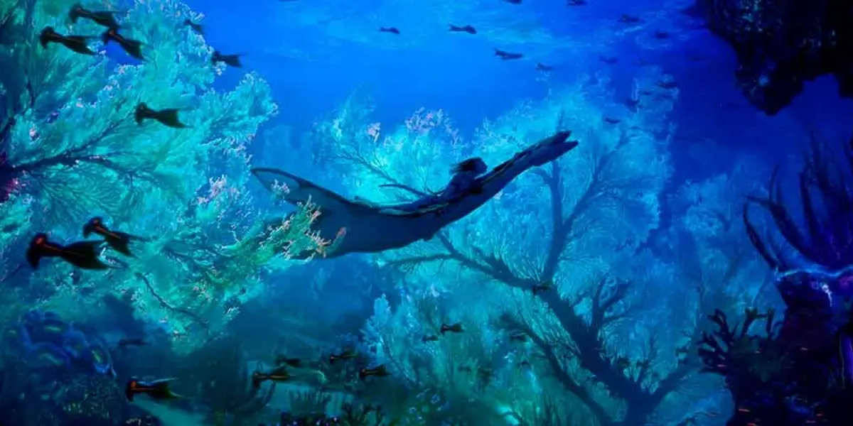 Después de casi dos años de anunciarse la secuela de Avatar, también se anunció una extensión de la saga hasta la quinta entrega.