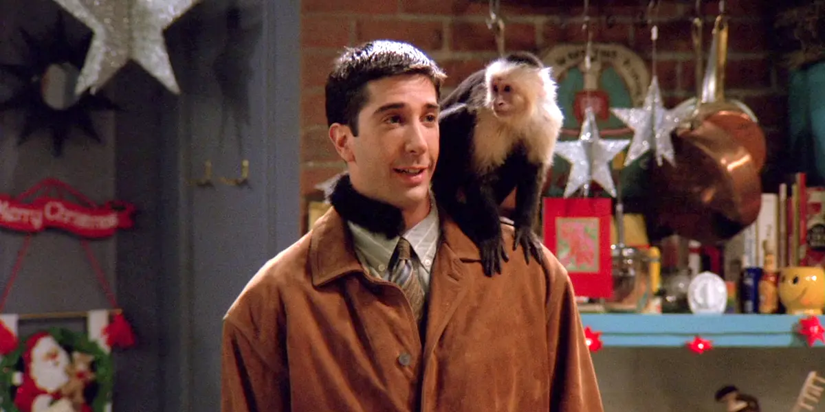 David Schwimmer es duramente criticado por el entrenador de Marcel, el mono de 'Friends'
