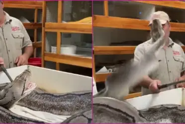 El animal quería defender sus huevos y lanzó una fuerte mordida. Conoce los detalles en la nota.