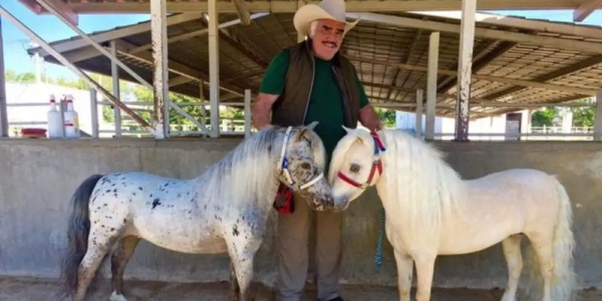 El artista mexicano y su preciado criadero que se convirtió en un negocio familiar