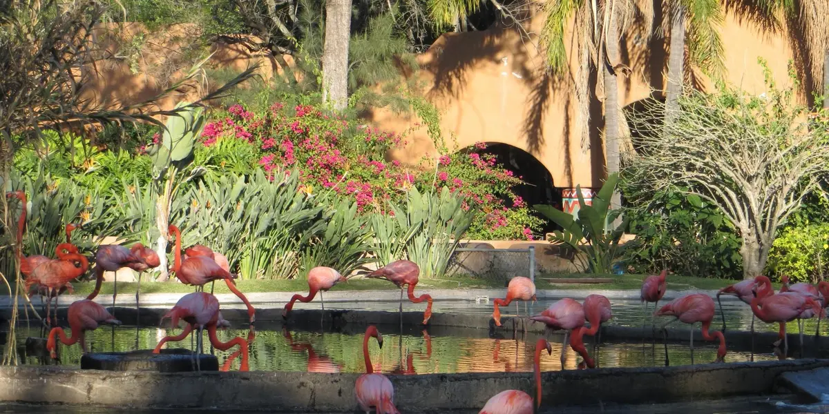 El clima en Guadalajara para este viernes 6 de mayo anticipa que estará con cielo despejado con 33 grados centígrados por la mañana y la temperatura máxima llegará a los 35 grados.