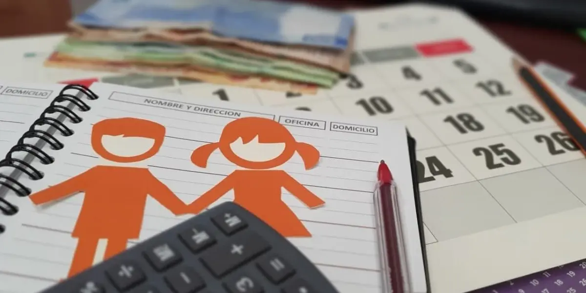 El Código Civil Federal, en su artículo 303, define que los padres están obligados a velar por el bienestar de sus hijos. El fin de una relación no los exime de esta responsabilidad.