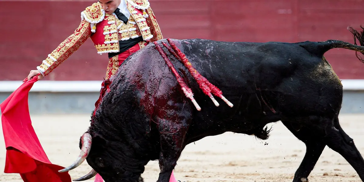 El dictamen que proponía corridas de toros sin maltratar al animal, como se hace en Portugal.