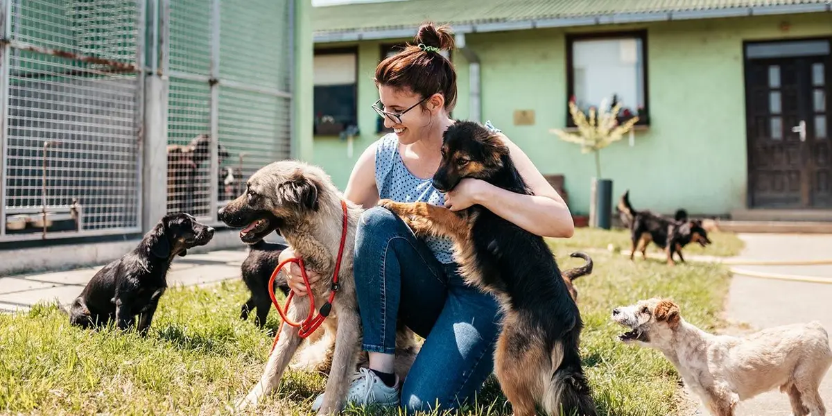 El juzgado 60 de lo Civil de la Ciudad de México emitió una orden de desalojo para abandonar el sitio lo antes posible, debido a que los terrenos se van a ocupar para la construcción de un desarrollo inmobiliario de alto nivel.
