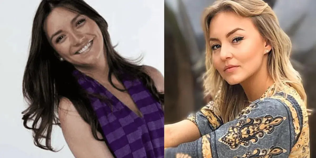 El papel de la Familia P. Luche por el que participó Angelique Boyer pero quedó fuera