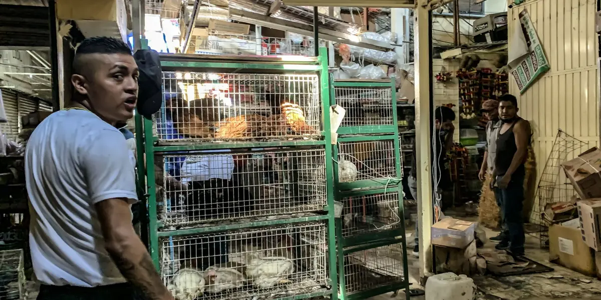 El pasado jueves se registró un incendio en el mercado de Sonora de CDMX, a pesar de los daños, la reapertura fue casi inmediata.