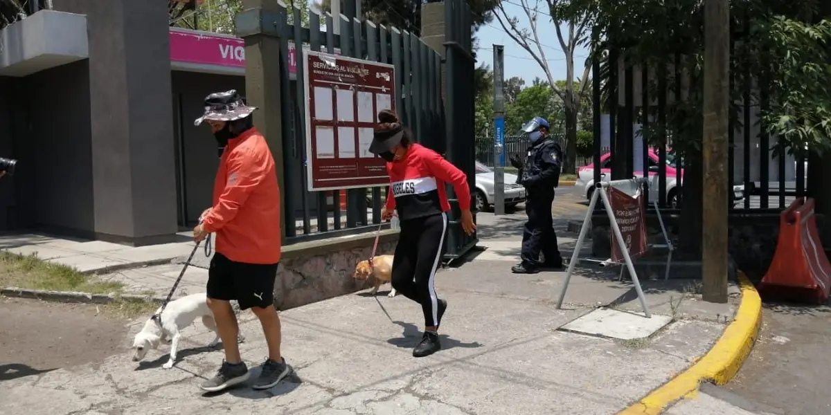 El próximo 12 de junio tendrá lugar el Primer Paseo Adopta CDMX, en el que podrás caminar acompañado de tu perrito o de un animal de compañía que busque hogar.