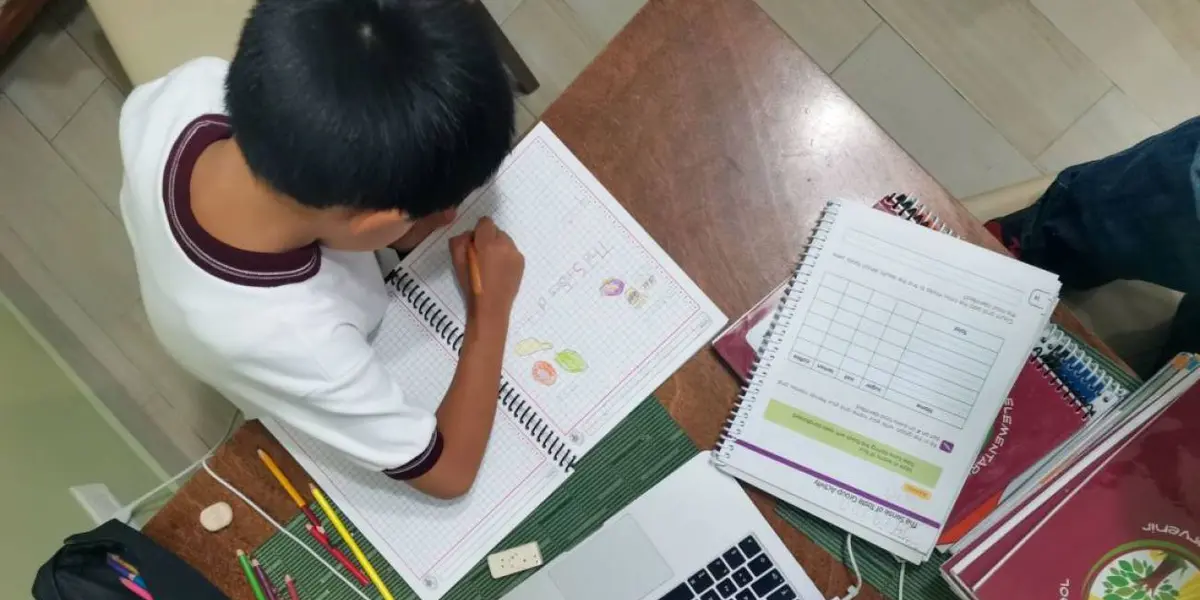 El registro será exclusivamente en línea con la finalidad de evitar la aglomeración de personas en los planteles de educación,