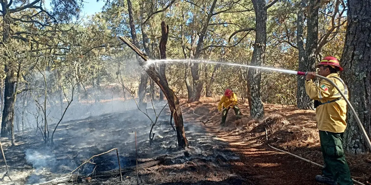 En esta ocasión el paraje afectado es el de la zona conocida como Milpillas dentro del municipio de Zapopan.