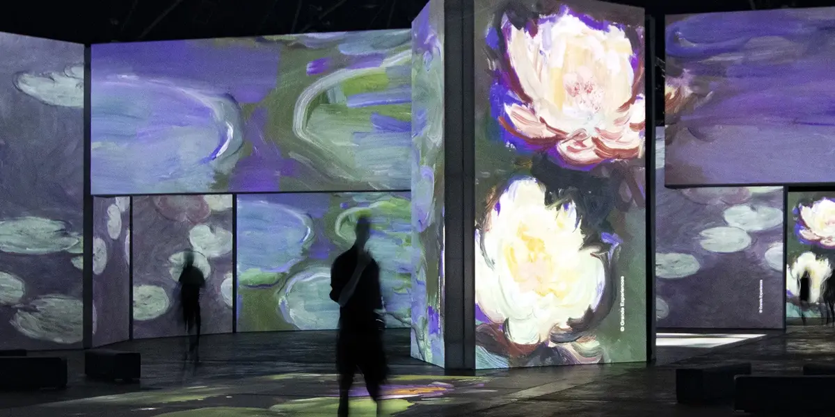 En una exhibición llena de luces, colores y sonido, en la cual las obras maestras de los impresionistas cobran vida con pantallas digitales, efectos de sonido, mapeo de proyección, un espectáculo digital de 360º grados.