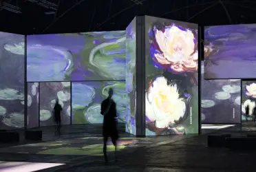 En una exhibición llena de luces, colores y sonido, en la cual las obras maestras de los impresionistas cobran vida con pantallas digitales, efectos de sonido, mapeo de proyección, un espectáculo digital de 360º grados.