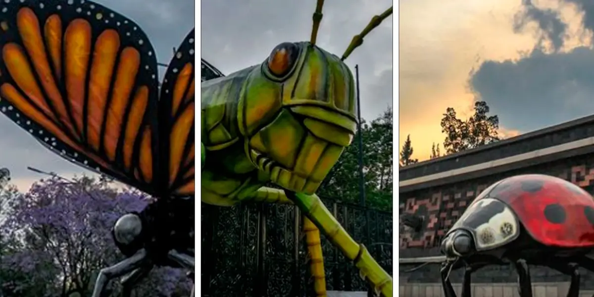 Entre los atractivos que más llamaron la atención de los visitantes fue “El lago de las típulas”, una instalación escultórica del artista oaxaqueño Amador Montes que consta de 11 insectos