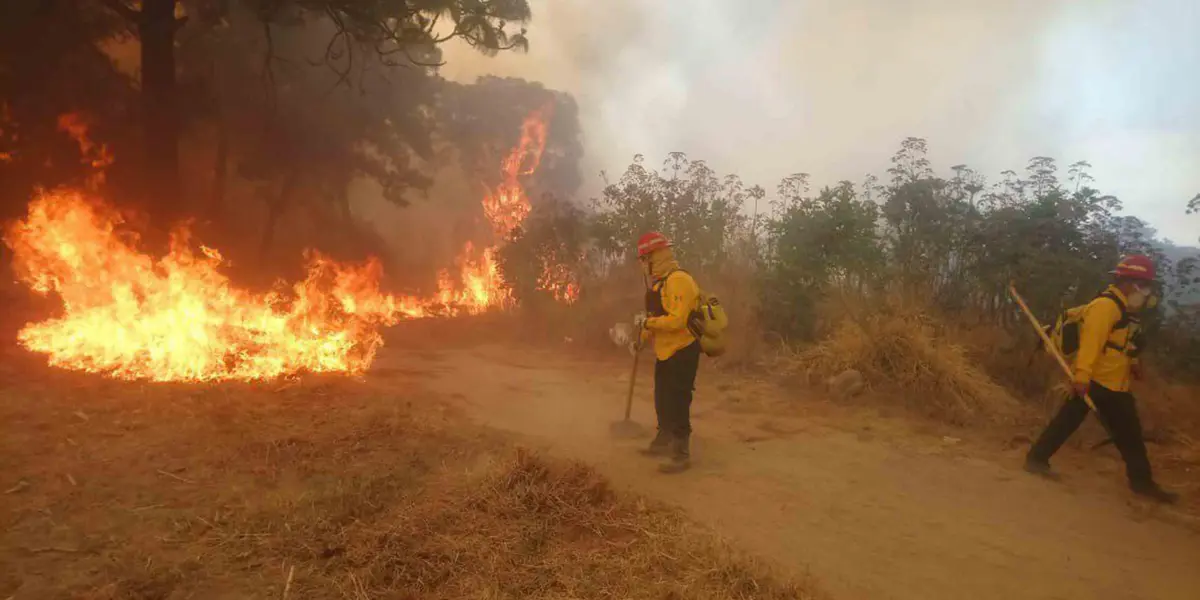Esto, debido a condiciones climáticas adversas a causa del fenómenos naturales como La Niña que genera climas secos más extremos.