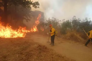Esto, debido a condiciones climáticas adversas a causa del fenómenos naturales como La Niña que genera climas secos más extremos.