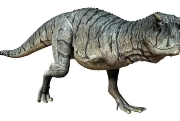 Esto significa que este animal vivió justo antes de la extinción masiva del final del Cretácico que vio la extinción de la mayoría de los dinosaurios.