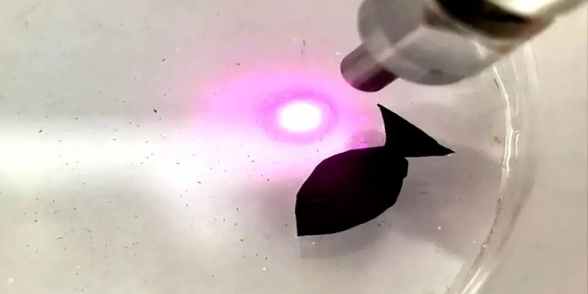 Esto último por los recientes descubrimientos que, por primera vez, han aparecido sobre los microplásticos en la nieve fresca de la Antártida.