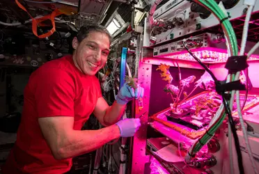 Flores espaciales: cultivan Rosas en la Estación Espacial