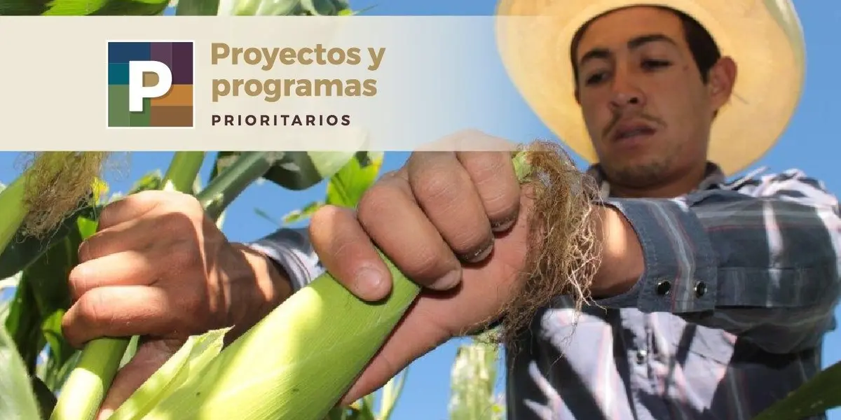 Gobierno de México presentará plan de autosuficiencia para enfrentar inflación, anuncia presidente