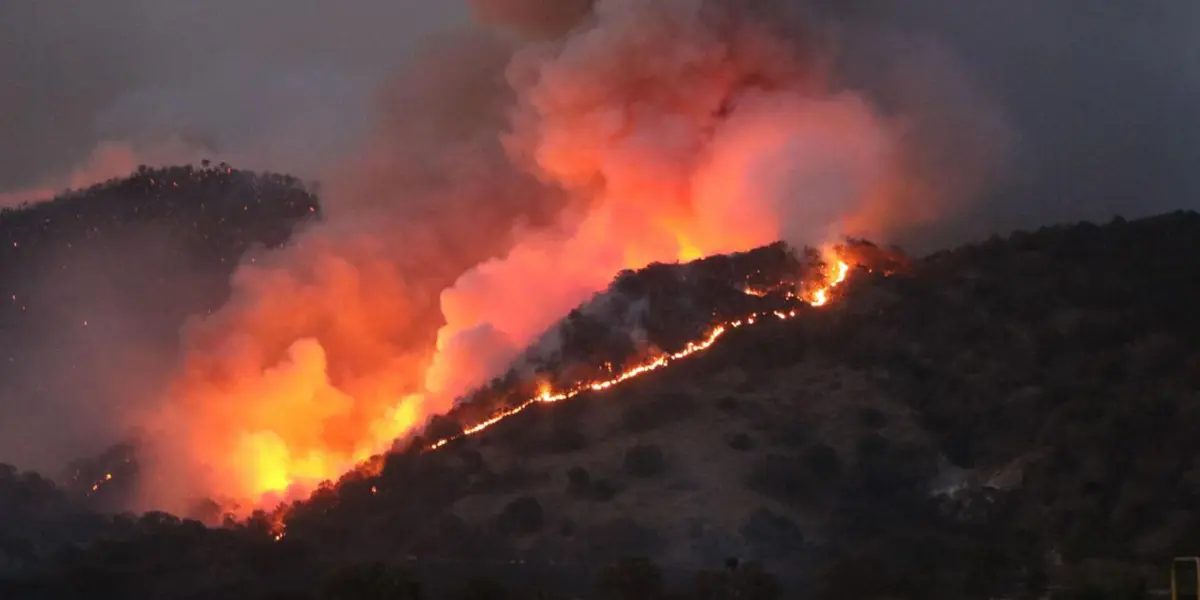 Hay un detenido por este hecho. La Fiscalía de Jalisco solicitó al Instituto Jalisciense de Ciencias Forenses (IJCF) realizar los peritajes que permitan la vinculación a proceso de Juan “R”,