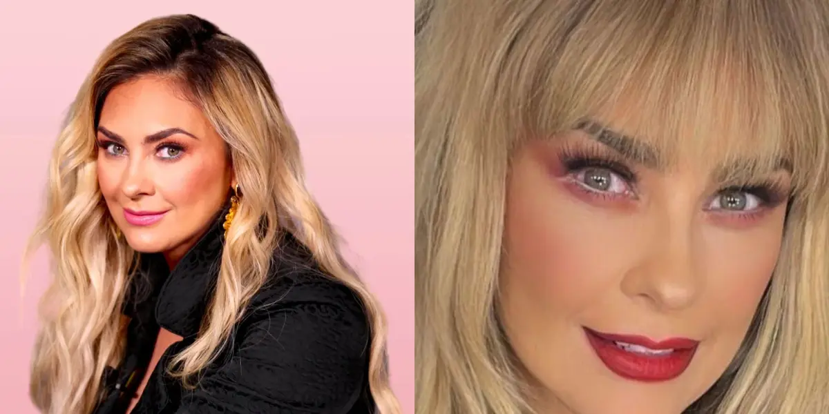 La actriz inició su carrera artística dentro de los concursos de belleza, de donde la descubrieron para ser actriz.