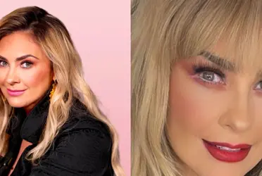 La actriz inició su carrera artística dentro de los concursos de belleza, de donde la descubrieron para ser actriz.