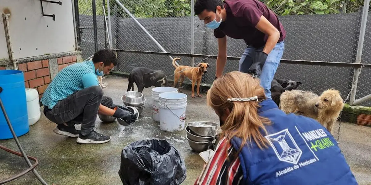 La Dirección Ejecutiva de Justicia Cívica -adscrita a la Consejería Jurídica y de Servicios Legales- y la Brigada de Vigilancia Animal se coordinaron para beneficiar a los huéspedes animales objeto de protección y cuidados.