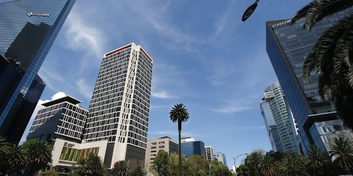 La jefa de Gobierno de la Ciudad de México, Claudia Sheinbaum, informó que será un ahuehuete el árbol que ocupe el lugar de la palma que por decenas de años estuvo sobre Paseo de la Reforma.
