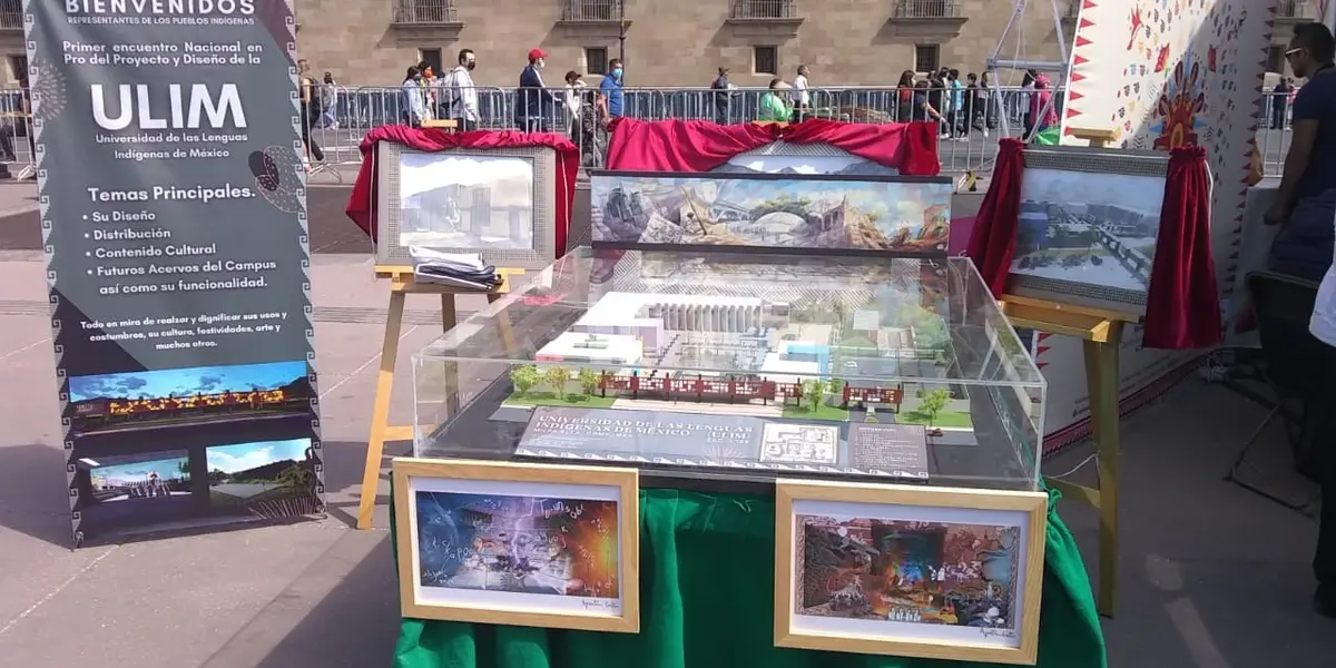 La universidad contará con cuatro licenciaturas: Enseñanza de las Lenguas Indígenas, Interpretación y Traducción de las Lenguas Indígenas, Literatura en Lenguas Indígenas y Comunicación Indígena Intercultural.